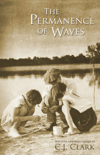 Permanence of Waves cover